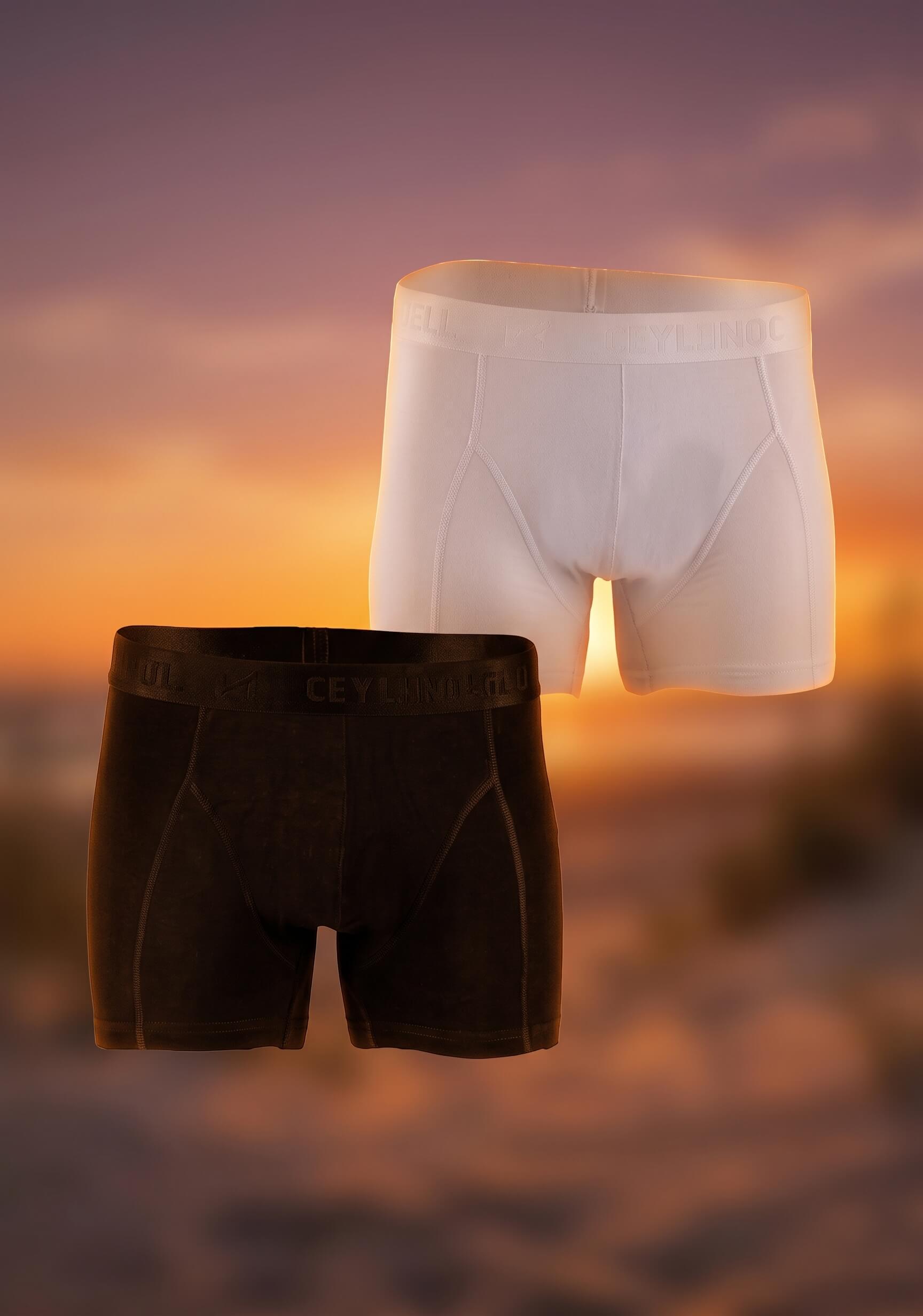 Erkek Boxer